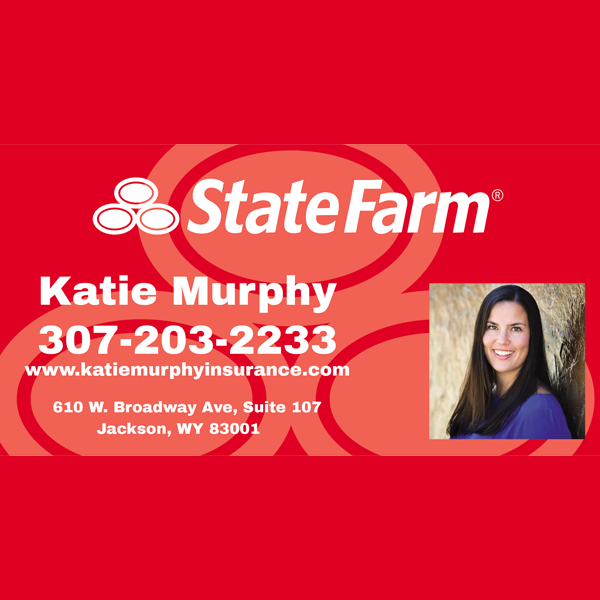 State Farm Katie Murphy