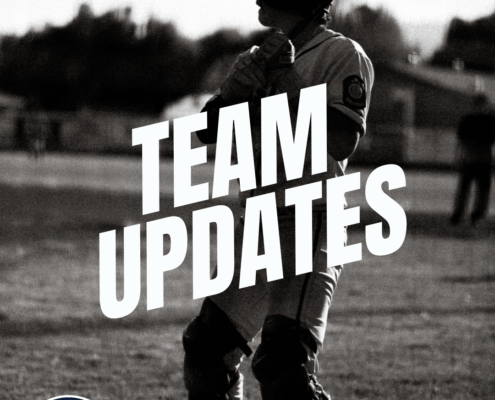 Team Updates image